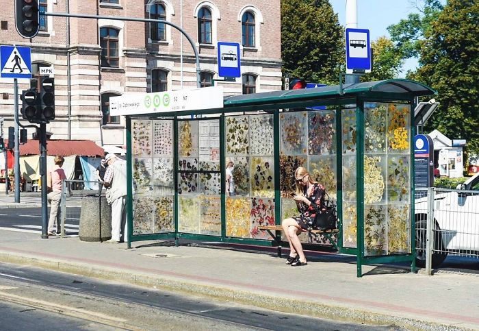 Polish Artist Turns An Ordinary Tram Stop Into A Beautiful Flower Museum