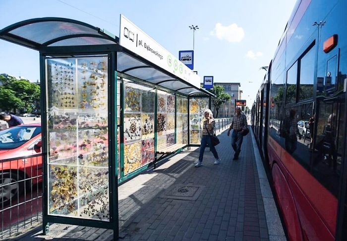 Polish Artist Turns An Ordinary Tram Stop Into A Beautiful Flower Museum