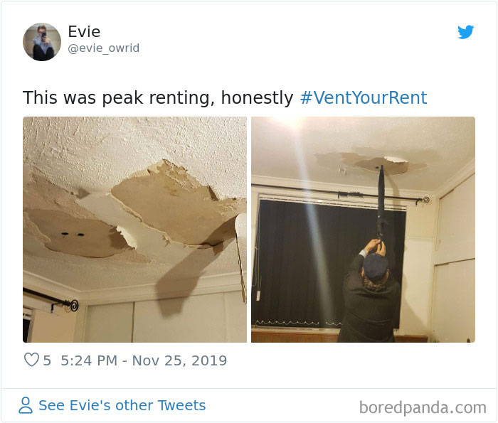 People-Share-Worst-Rent-Expierences-Vent-Your-Rent