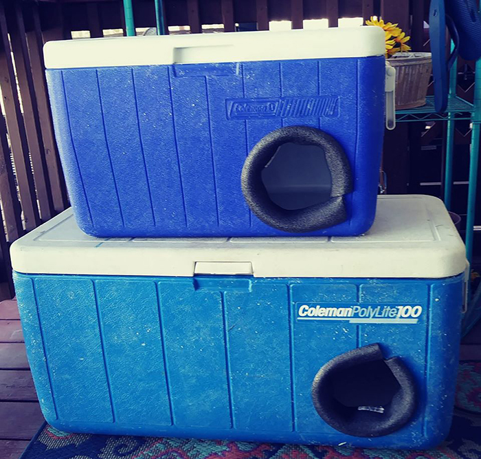 Man Makes Winter Shelters For Stray Cats Out Of Discarded Coolers