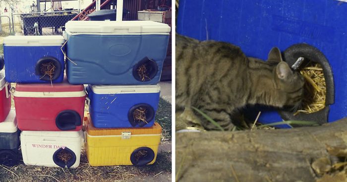 Man Makes Winter Shelters For Stray Cats Out Of Discarded Coolers Bored Panda - Feral Cat Shelter Diy Cooler