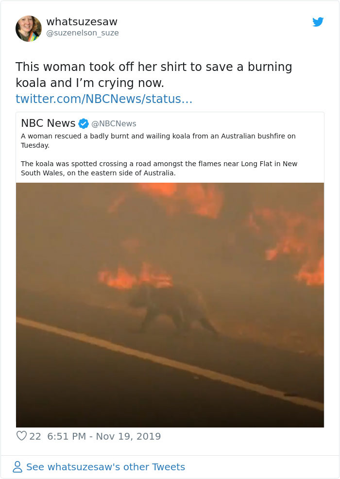 Woman Saves A Scorched And Screaming Koala With The Shirt Off Her Own Back