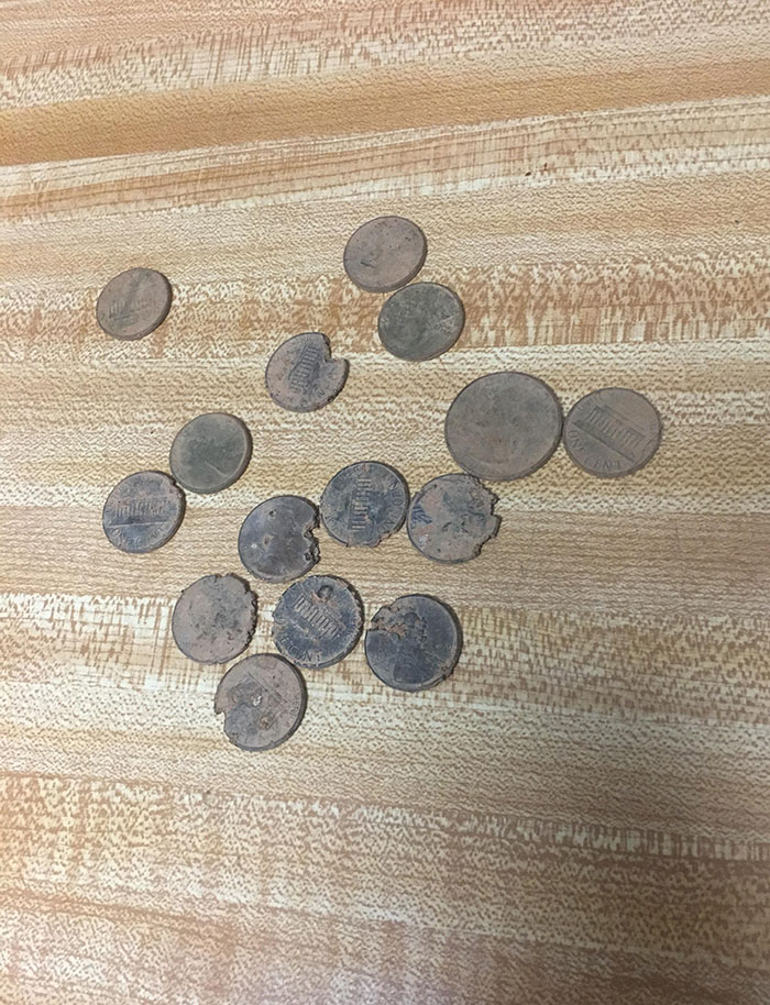 Years Ago I Was A Stupid Kid Who Tossed A Load Of Change In The Front Yard Thinking It'd Be A Fun Treasure Hunt. Today With The Help Of The Metal Detector, I Found The Rest Of It
