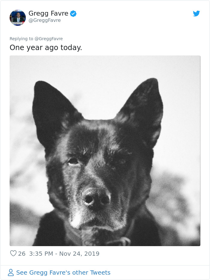 Firefighter Shares A Tribute To His Dog That Passed Away And Every Pet Owner Can Relate