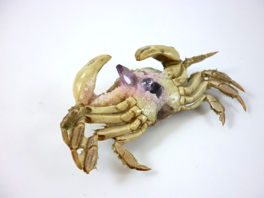 I Turn Creepy Crabs Into Jewels