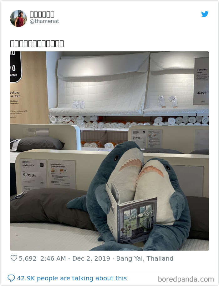 22 Times IKEA Customers Spotted Shark Plushies "Doing Human Things" At Their Stores