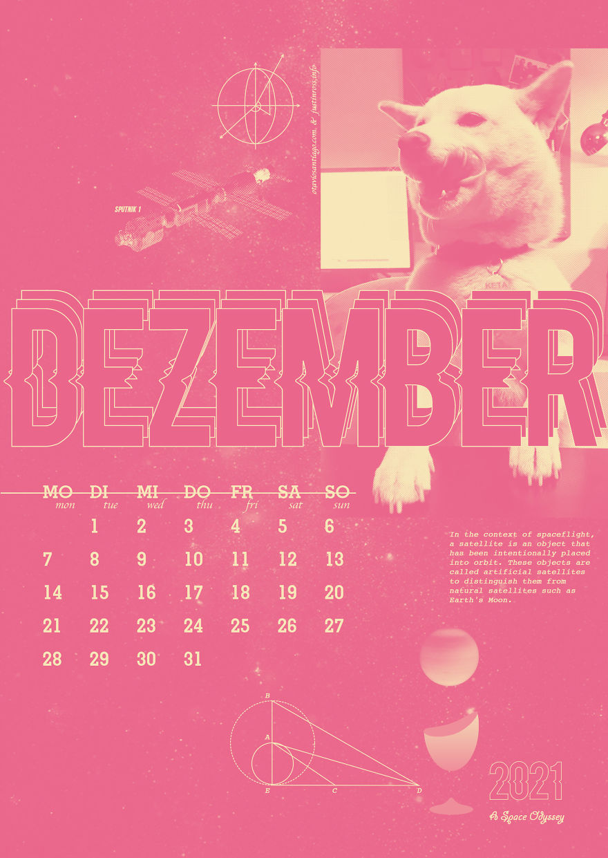 We Made This Fun 2020 Calendar With Our Pets As Astronauts