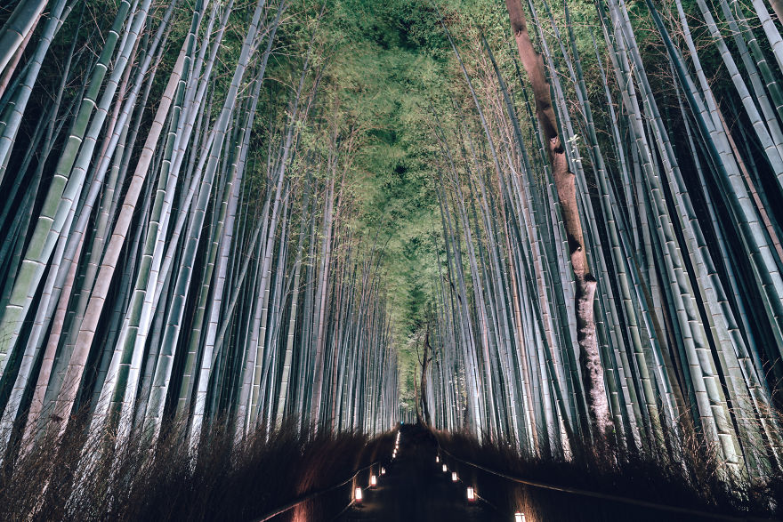 The Bamboo Grove,arashiyama Is One