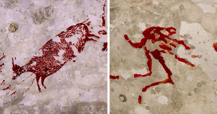 The Newly Discovered 44,000 . Animal Cave Paintings Tell The Oldest  Story On Earth | Bored Panda