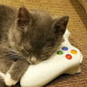 danielwilianto avatar