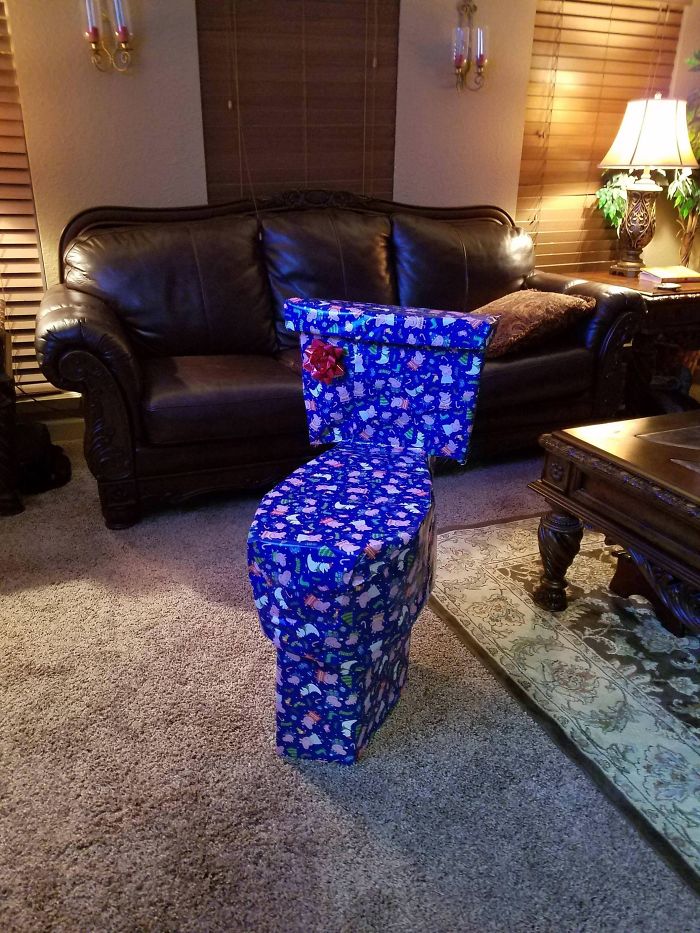 Every Year I Try To Disguise My Sister's Christmas Present. This Year I Think I Went A Little Too Far