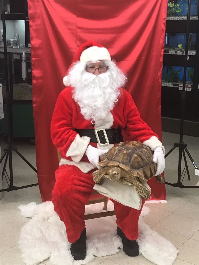 My Dad Was Santa At Our Local Petsmart, Was Not Expecting This