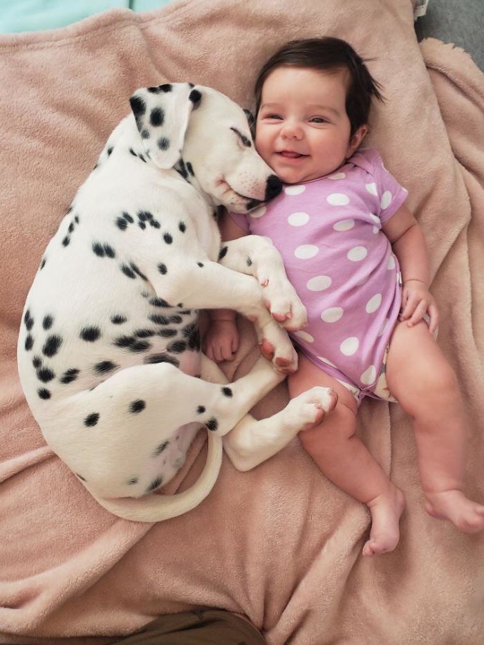 My Brother’s Daughter And New Puppy Are Already Best Buds, They Even Have Matching Outfits!