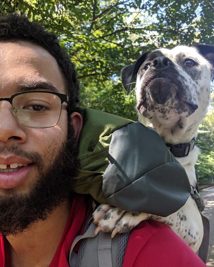 This Is Floyd. He Was Born With Cerebral Hypoplasia Which Means He Can't Walk Too Well. Today We Found Out He Fits In My 75 Liter Hiking Pack, So We Got To Take Him On His First Hike! He Seemed To Really Enjoy It