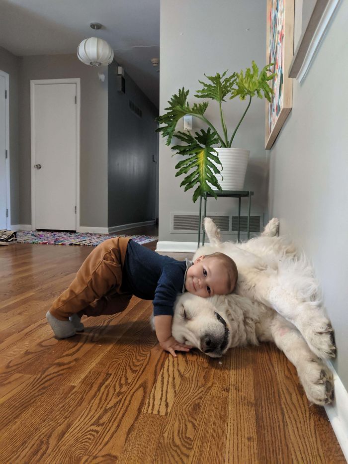 Down Dog On A Dog. Ft Our 11 Month Old And 8 Year Old