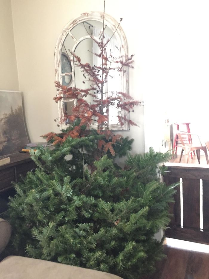 Mi esposa y yo nos llevamos siempre el árbol de Navidad más feo que encontramos