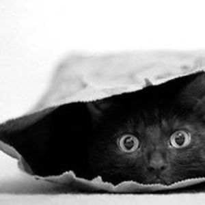 giraudannie245 avatar