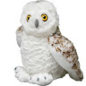 kaylawellbaum avatar