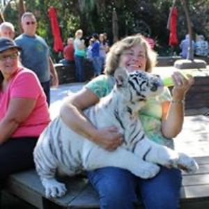 barbara_davis_1 avatar