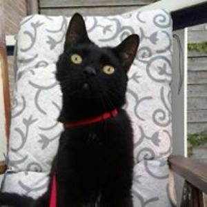 maaike-lara78 avatar