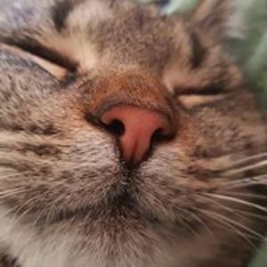 biancaalina_dinu11 avatar