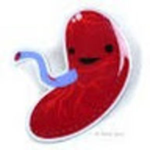 placentasalad avatar