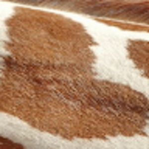 deborahpetitpas_1 avatar