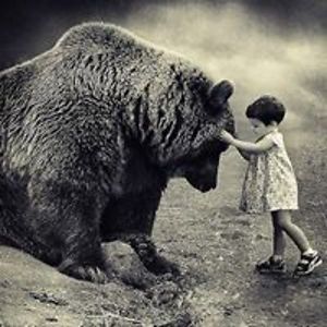 david_murphy_1 avatar