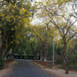 shashwatigoswami avatar