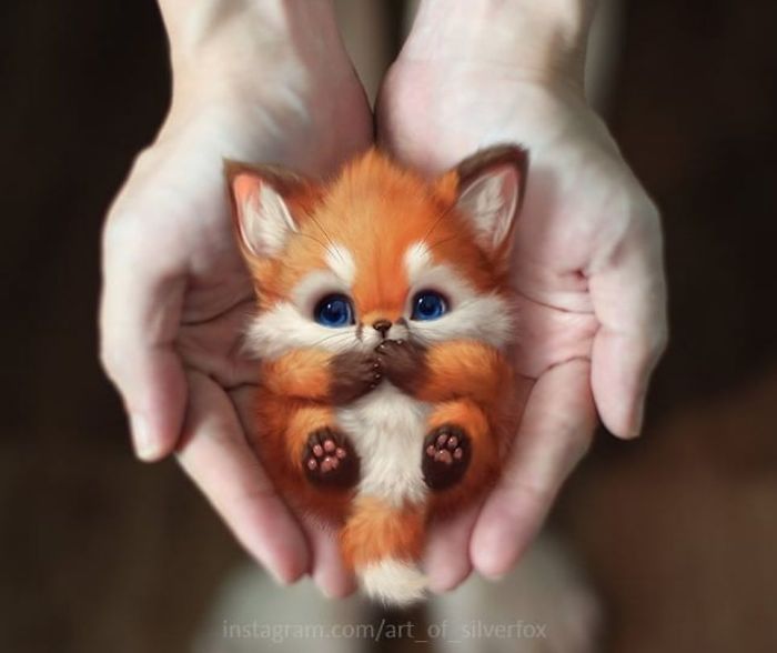 Artist Draws The Cutest Animals, Imagines Them Living In Our World (30  Pics) | Bored Panda