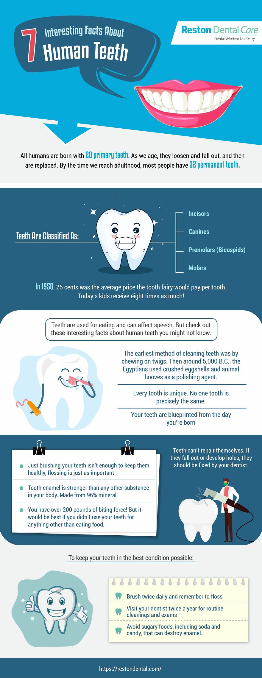 7 Interesting Facts About Human Teeth