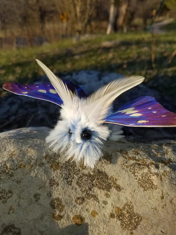 Artist Creates Moths And Birds So Lifelike And Whimsical It Changes Your View On Reality
