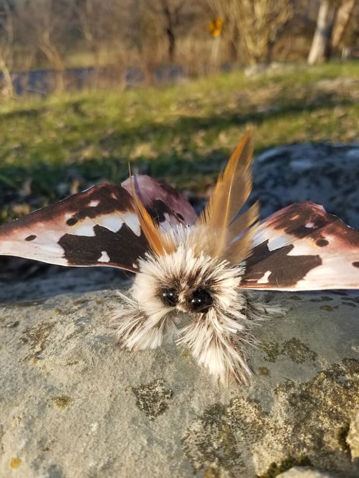 Artist Creates Moths And Birds So Lifelike And Whimsical It Changes Your View On Reality