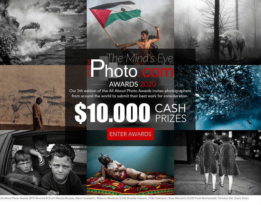 All About Photo Awards 2020 Is Open! All About Photo Awards 2020 Is Open!