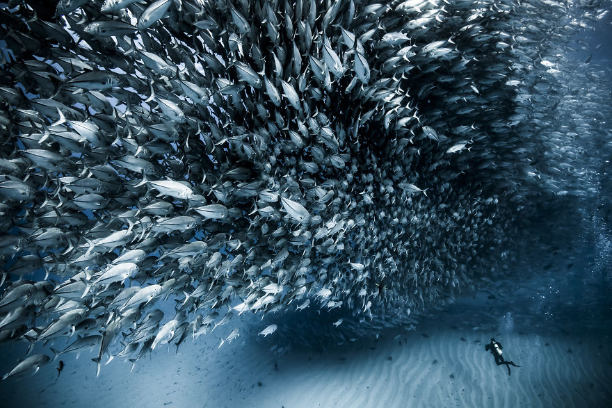All About Photo Awards 2020 Is Open! All About Photo Awards 2020 Is Open!