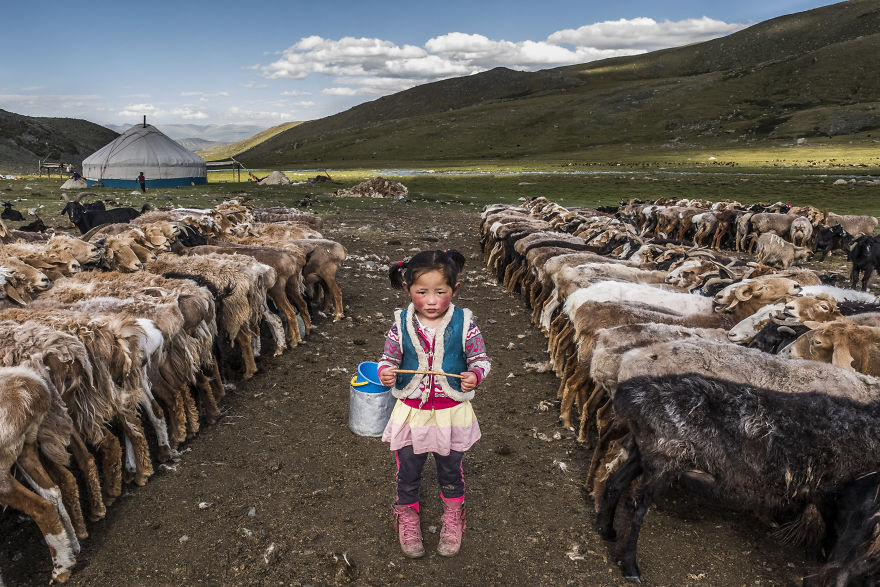 All About Photo Awards 2020 Is Open! All About Photo Awards 2020 Is Open!