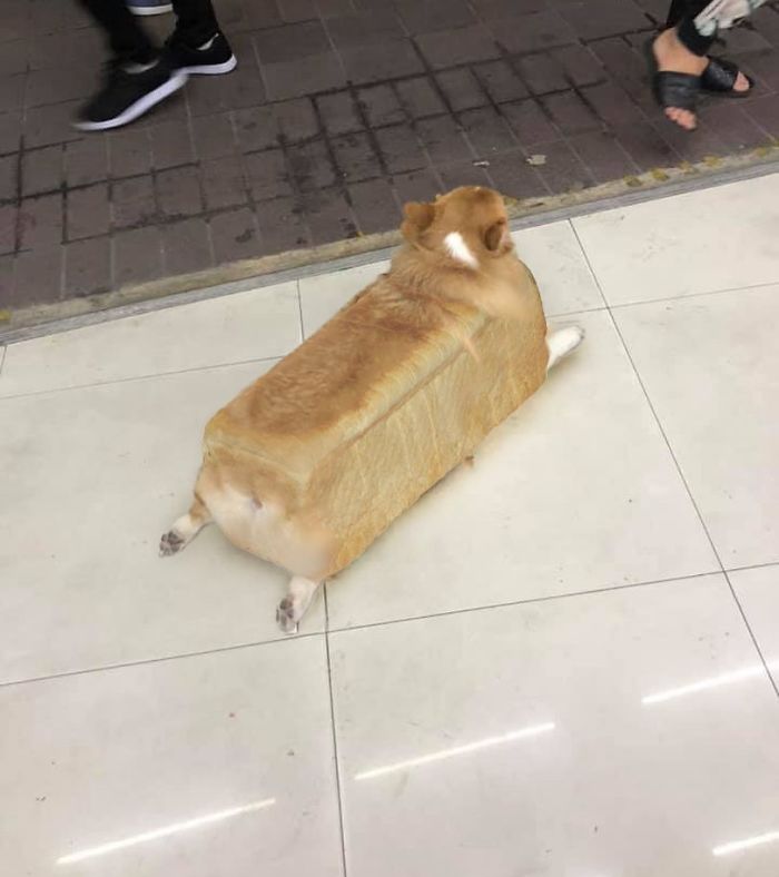 Miloaf Of Bread