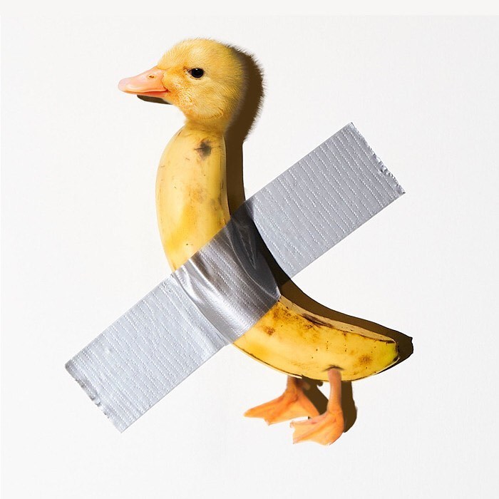 Duck-Taped