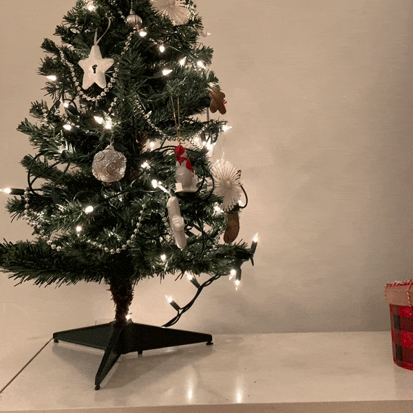 5 Times Elf On The Shelf Was Caught On Camera Moving! 🤣