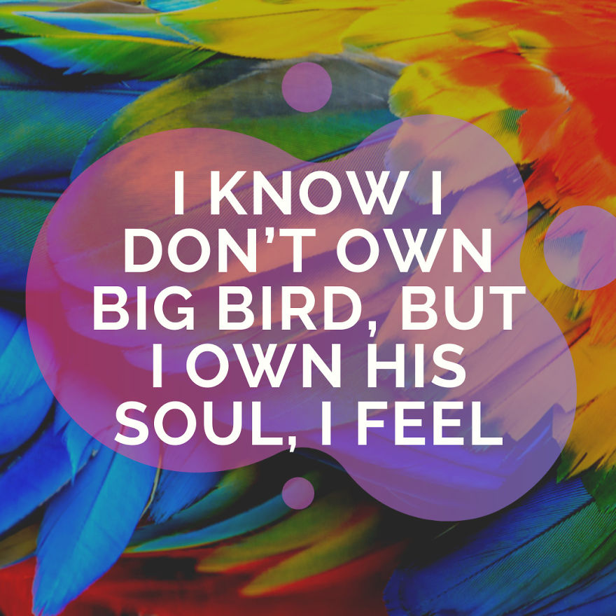 I Know I Don’t Own Big Bird, But I Own His Soul, I Feel