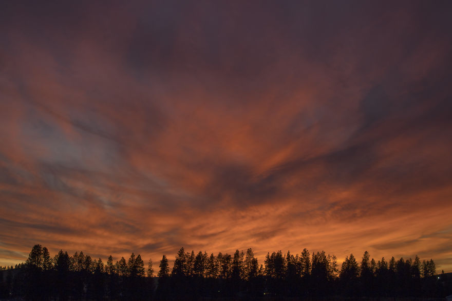 Don't You Just Love Sunsets?