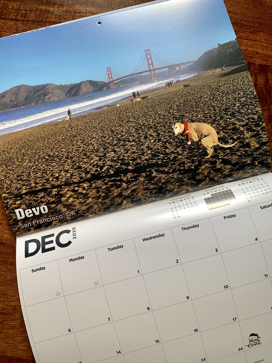 2020 Is Going To Be The Shit If You Have This Calendar... And It Supports A Good Cause! 2020 Is Going To Be The Shit If You Have This Calendar... And It Supports A Good Cause!
