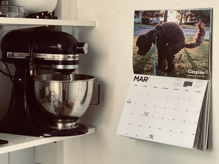 2020 Is Going To Be The Shit If You Have This Calendar... And It Supports A Good Cause! 2020 Is Going To Be The Shit If You Have This Calendar... And It Supports A Good Cause!