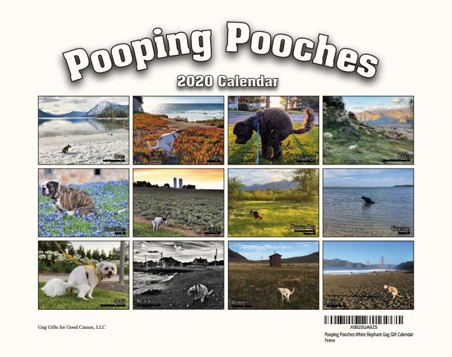 2020 Is Going To Be The Shit If You Have This Calendar... And It Supports A Good Cause! 2020 Is Going To Be The Shit If You Have This Calendar... And It Supports A Good Cause!