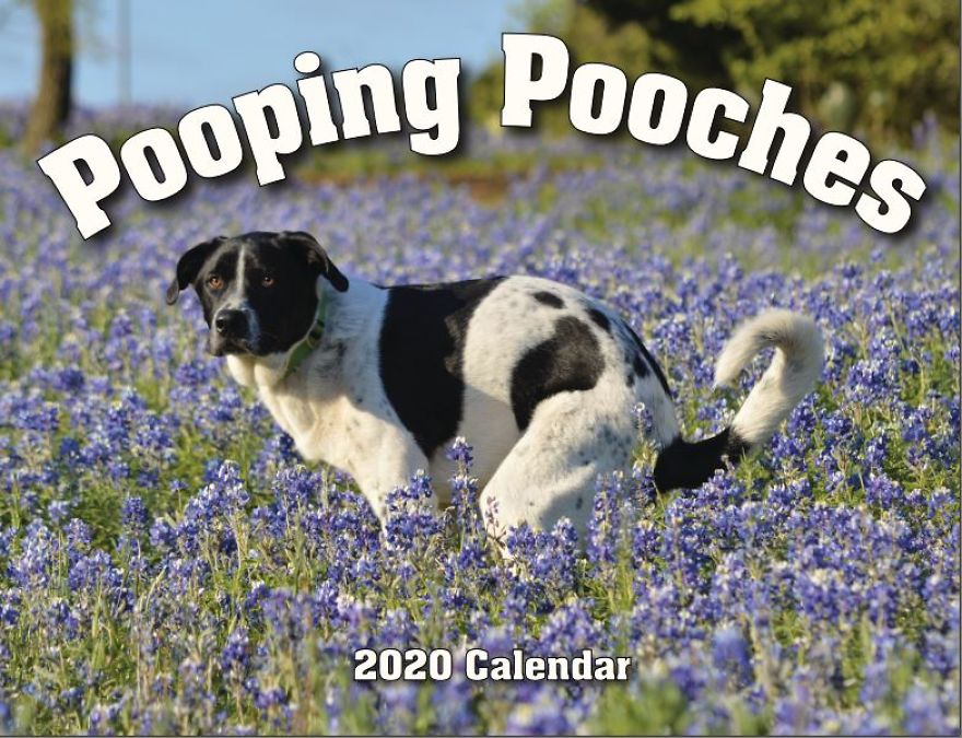 2020 Is Going To Be The Shit If You Have This Calendar... And It Supports A Good Cause! 2020 Is Going To Be The Shit If You Have This Calendar... And It Supports A Good Cause!