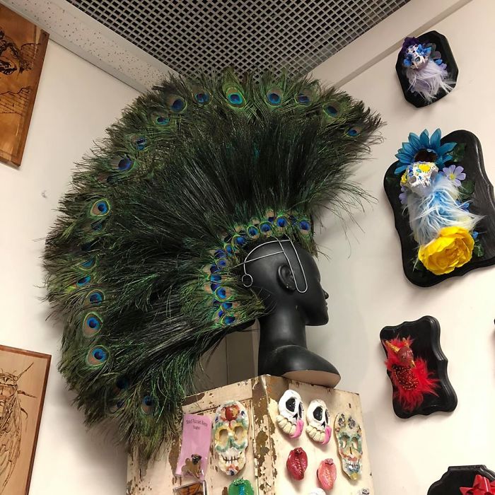 Now Who Doesn’t Need A Peacock Headdress Stayed Behind As I Don’t Wear Anything On My Head I Left It At Faes Cabinet 