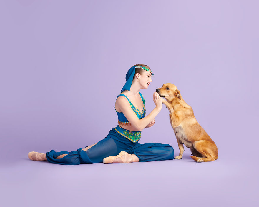 This “Muttcracker” Photoshoot Features Homeless Pets As Dancing Stars