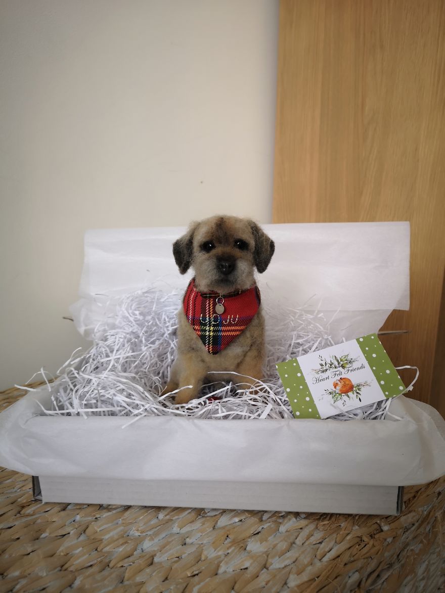 Border Terrier Replica Sitting In His Wee Box