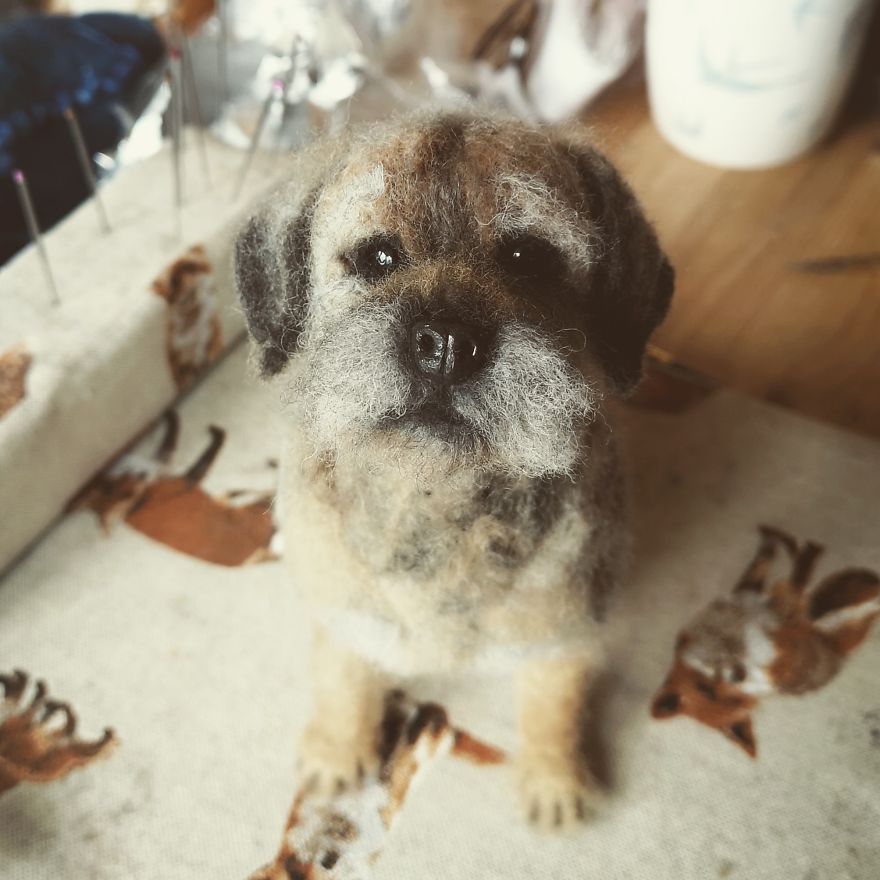 The Making Of My Mini Border Terrier