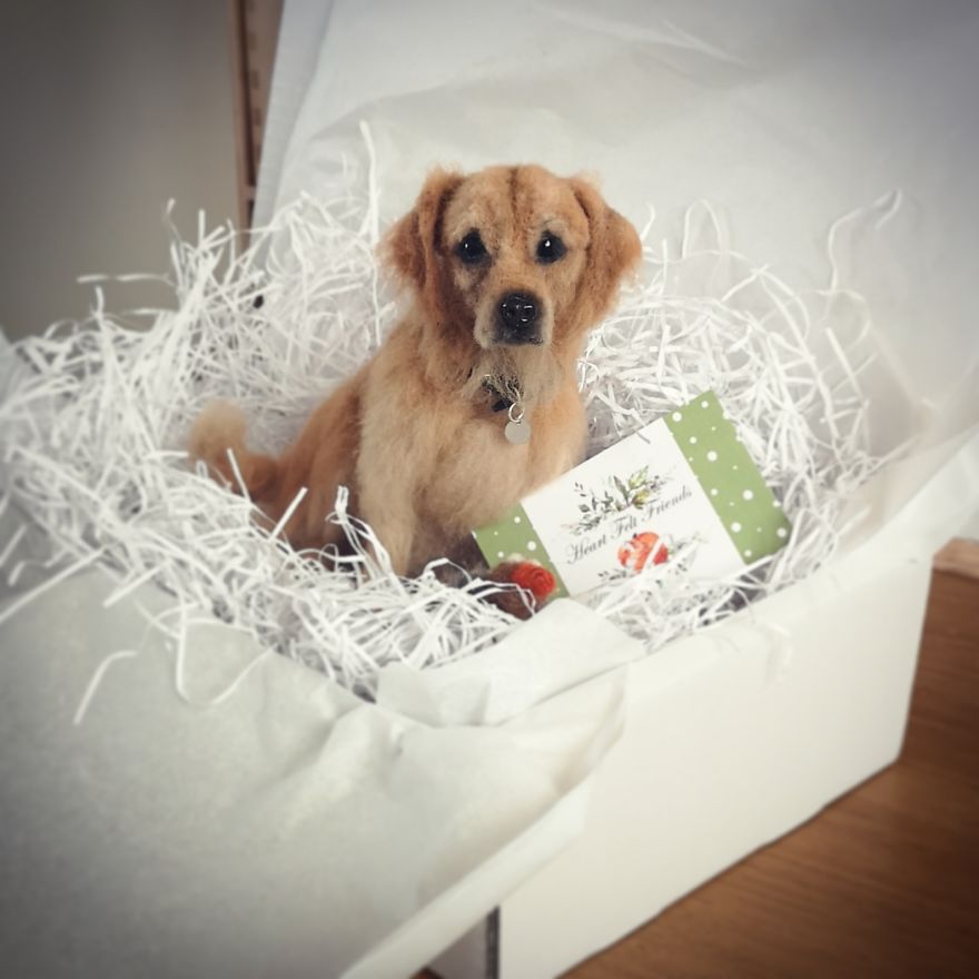 Goldie In A Box...